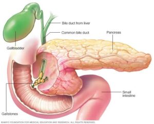 Pancreatic Clinic